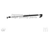 ASHUKI K925-61 Gas Spring, boot-/cargo area